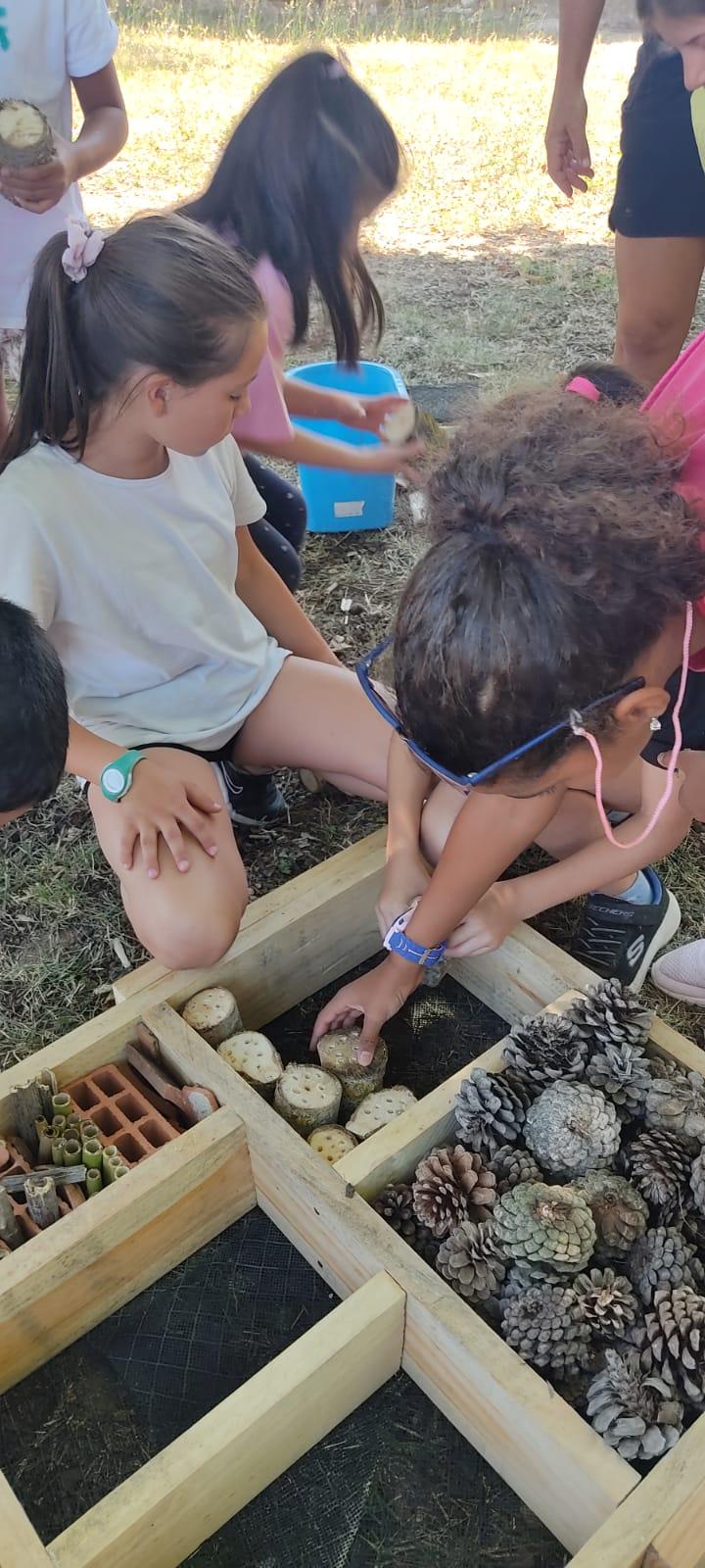 NIÑOS COLABORANDO EN LA REALIZACIÓN DEL HOTEL DE INSECTOS
