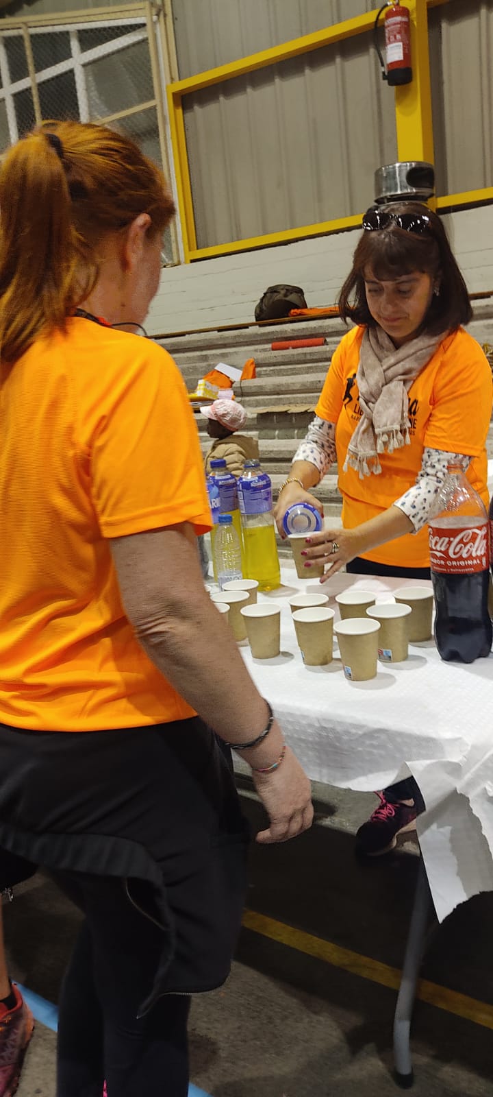 VOLUNTARIOS 