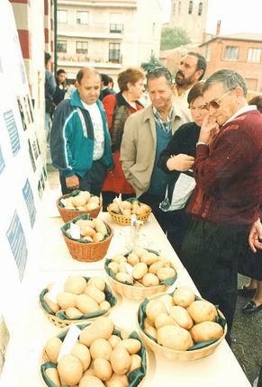 Día de Exaltación de la patata de Tardajos